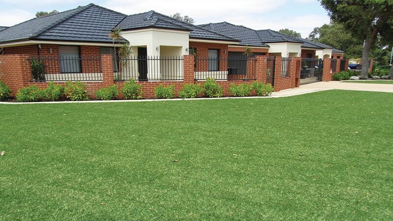 Affordable Grass Suppliers Across Sydney