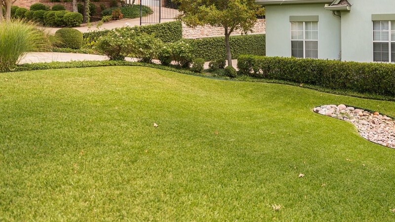 How North Texas Climate Shapes the Way Lawns and Gardens Grow